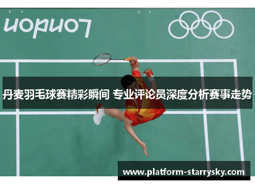 丹麦羽毛球赛精彩瞬间 专业评论员深度分析赛事走势