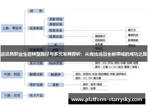 运动员职业生涯转型路径与多元发展探析：从竞技场到全新领域的成功之路
