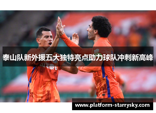 泰山队新外援五大独特亮点助力球队冲刺新高峰