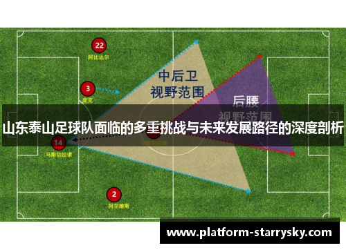 山东泰山足球队面临的多重挑战与未来发展路径的深度剖析