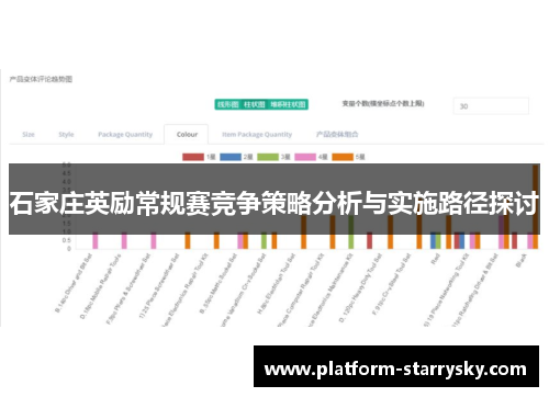 石家庄英励常规赛竞争策略分析与实施路径探讨