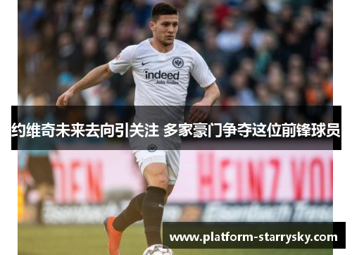 约维奇未来去向引关注 多家豪门争夺这位前锋球员