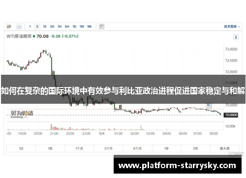 如何在复杂的国际环境中有效参与利比亚政治进程促进国家稳定与和解