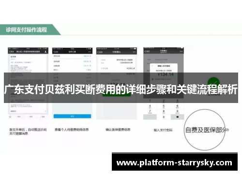 广东支付贝兹利买断费用的详细步骤和关键流程解析