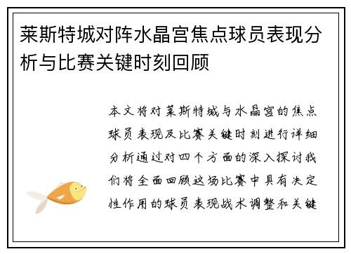莱斯特城对阵水晶宫焦点球员表现分析与比赛关键时刻回顾