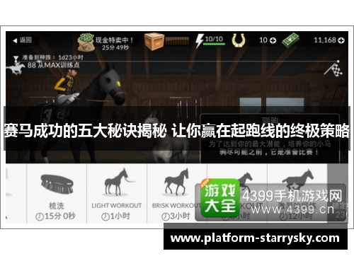 赛马成功的五大秘诀揭秘 让你赢在起跑线的终极策略