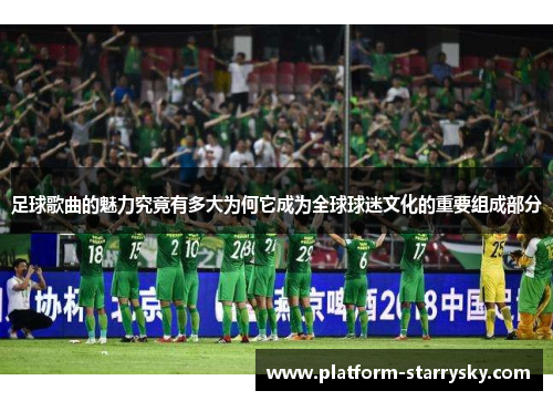 足球歌曲的魅力究竟有多大为何它成为全球球迷文化的重要组成部分