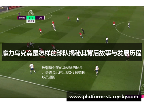 魔力鸟究竟是怎样的球队揭秘其背后故事与发展历程